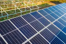 Indian solar energy tech firms see $1 bn funding in Jan, despite 9% dip in 2023: Report