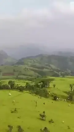 Testing video